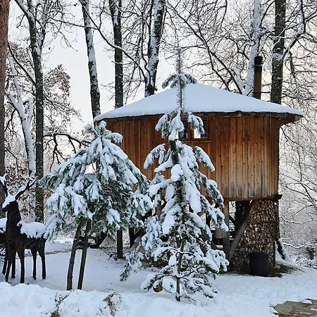 Casa vacanze Les Du Saleve Collonges-sous-Saleve