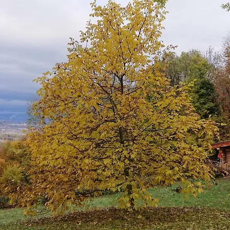 Holiday home Les Du Saleve *